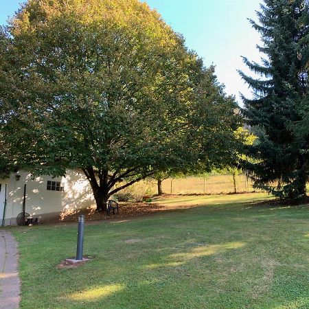 Ferienwohnung Land-Idylle Illingen  Dış mekan fotoğraf