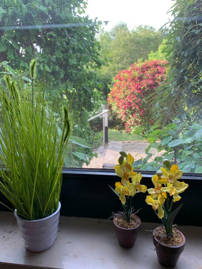 Ferienwohnung Land-Idylle Illingen  Dış mekan fotoğraf