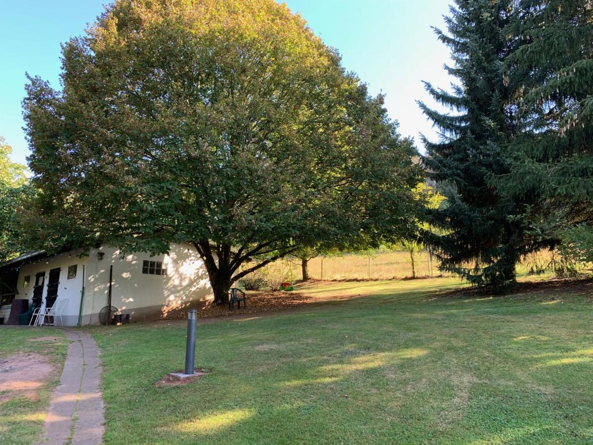 Ferienwohnung Land-Idylle Illingen  Dış mekan fotoğraf